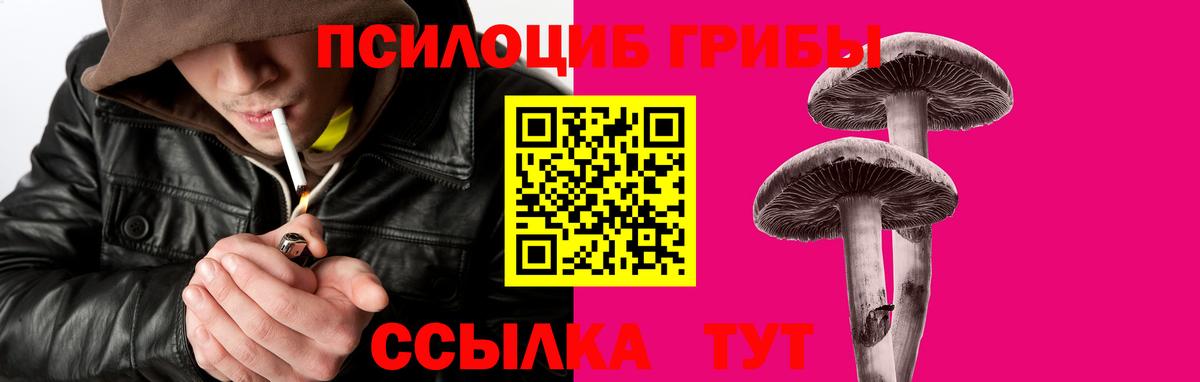 Сафоново  Галлюциногенные грибы Psilocybe  где купить наркоту  Вход с VPN  Галлюциногенные грибы Psilocybine cubensis 